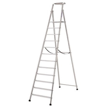12 Tread Probat Step Ladder