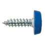 No.10 x 18mm Blue Number Plate Screws  Thumbnail
